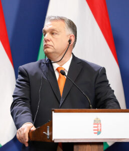 introduction image