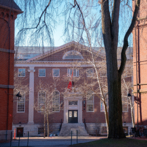 introduction image