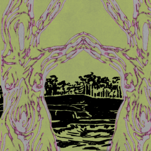 introduction image